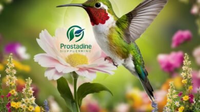 prostadine colibrim