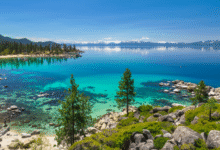 margaritaville lake tahoe