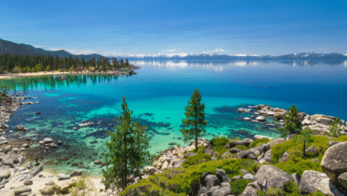 margaritaville lake tahoe